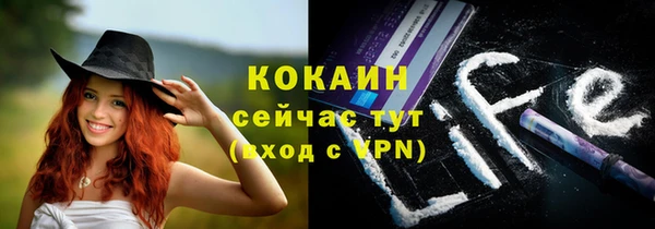 твердый Алексеевка