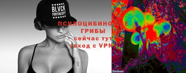 таблы Инта