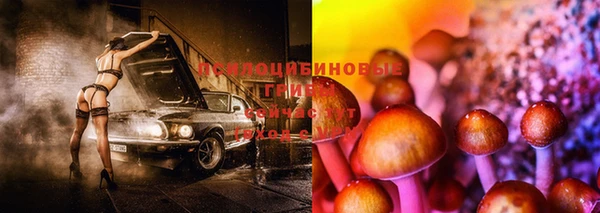трава Алексин